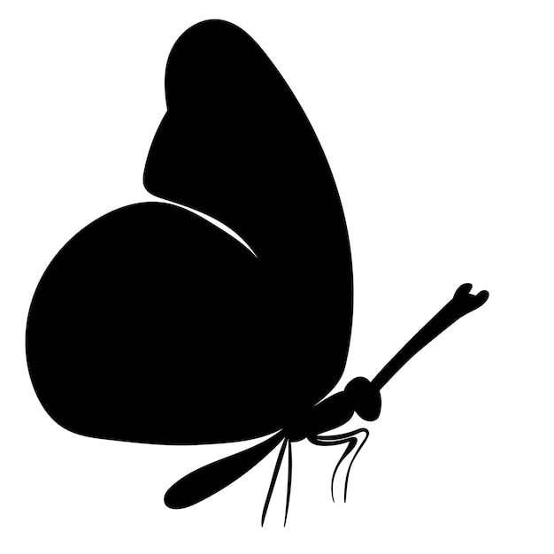 Schmetterlingsschattenbild auf weißem Hintergrundvektor