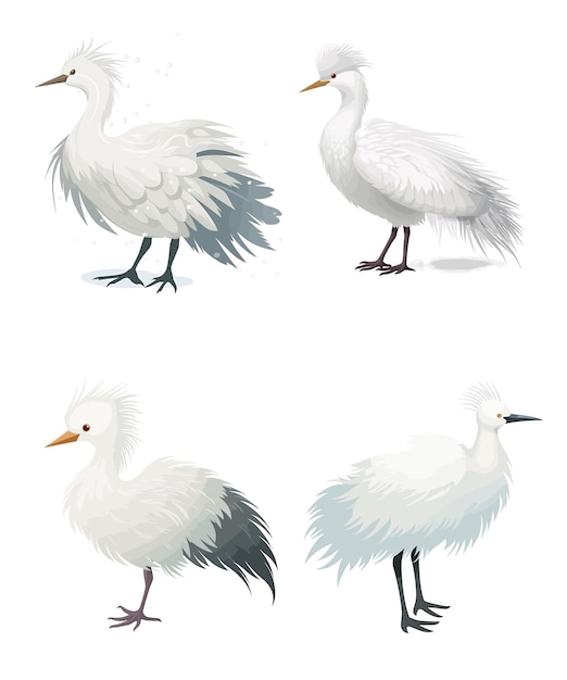 Schnee-egret-illustration