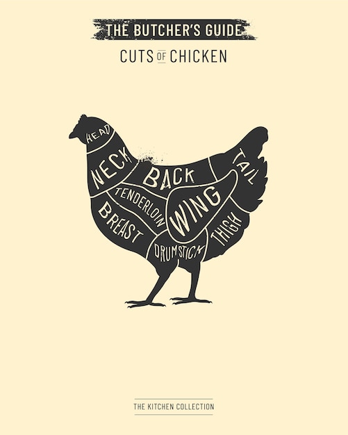 Vektor schnitt von hühnerfleisch set poster metzger diagramm schema und anleitung handgezeichnete illustration