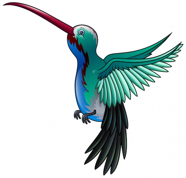 Schön eine wilde kolibri-fliegenkarikatur