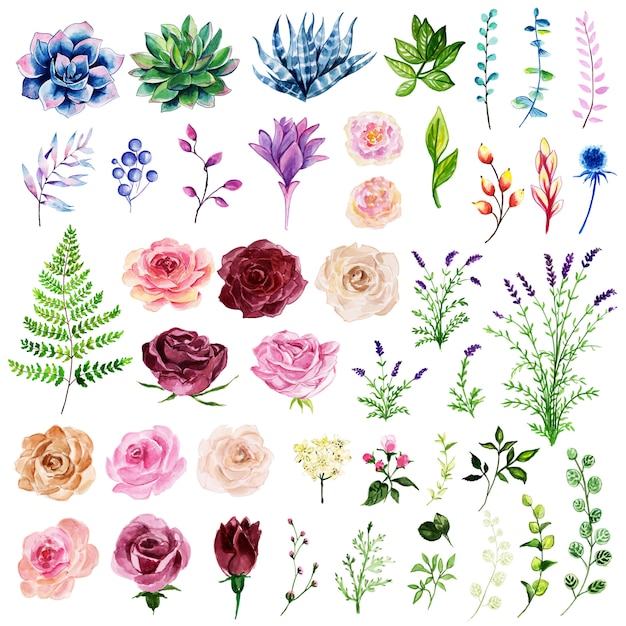 Schöne aquarell blumen- und blätter-element-sammlung