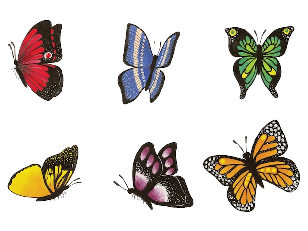 Schöne Aquarell handgezeichnete Schmetterlingssammlung