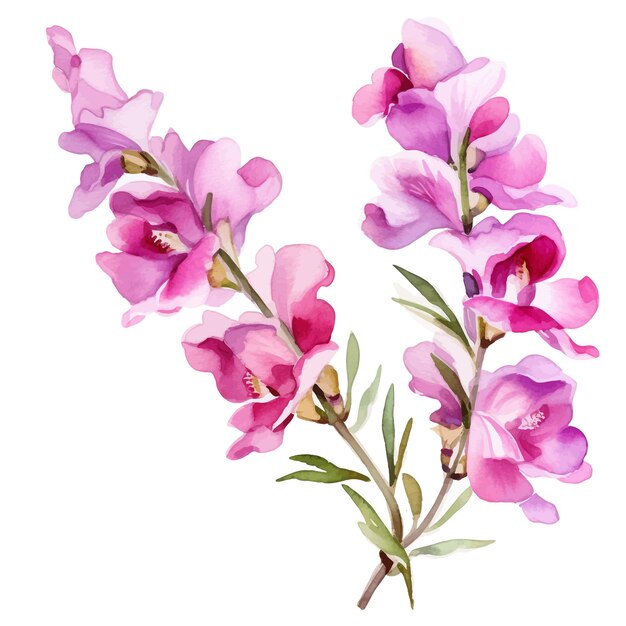 Vektor schöne aquarelle snapdragon blüten clipart und blätter aquarelle blumenelemente