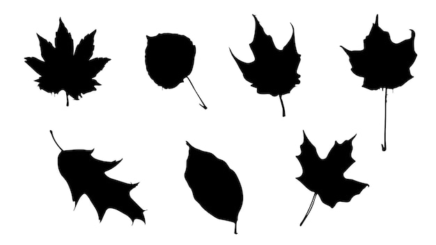 Schöne blätter silhouette set svg