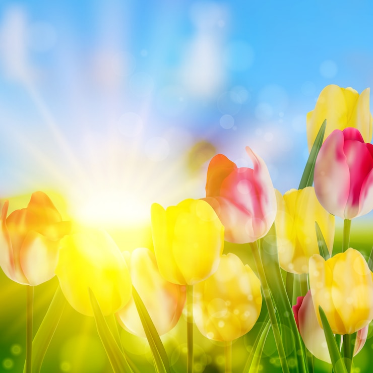 Vektor schöne frühlingsblumen.