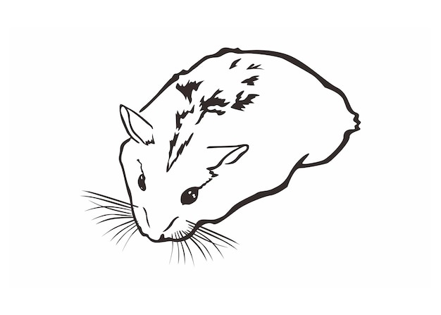 Vektor schöne hamster-tier im line art-stil vektor