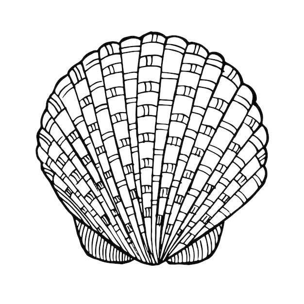 Schöne hand gezeichnete schwarzweiss-muschel