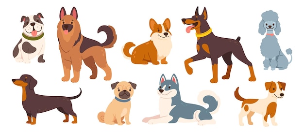 Schöne Hunde und Welpen Cartoon verschiedener Rassen Haustiere Lustige Hundfiguren Glückliche freundliche Hunde Tiere Pug Corgi Pudel Husky und Pudel Vektor-Set