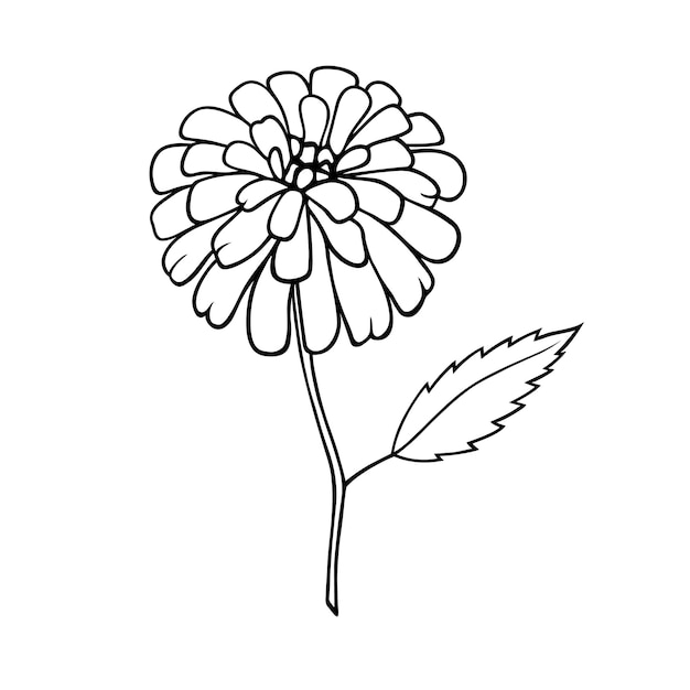 Schöne, isolierte, handgezeichnete herbstillustration einer dahlienblume