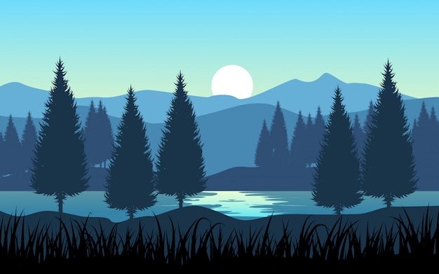 Schöne Kiefern und Gebirgsnaturlandschaft