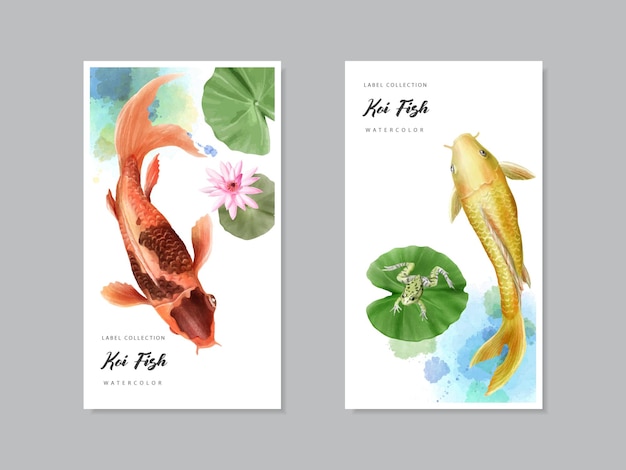 schöne Koi-Fisch Aquarell-Etikettensammlung