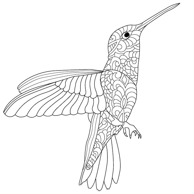 Schöne kolibri-linienkunstillustration zum ausmalen von buchseiten