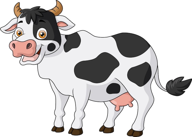 Schöne Kuhkarikatur auf weißem Hintergrund