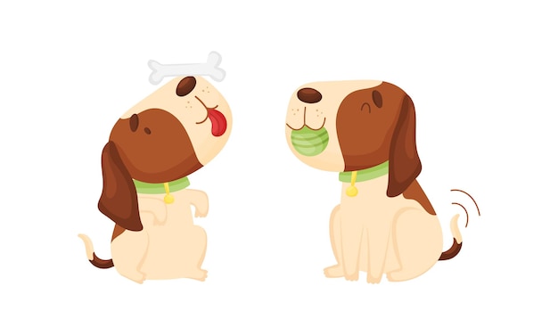 Schöne, lustige Beagle-Hundesatz Schöne Haustiere spielen mit Knochen und Ball Cartoon-Vektorillustration