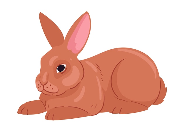 Schöne Osterhase Frühling flauschiges Kaninchen gehörte Haustier kleines Hase flache Vektor-Illustration Osterfeier Kaninchen auf weiß