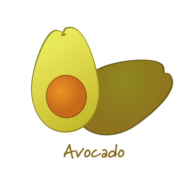 Vektor schöne realistische avocado-vektorillustration 3d-design isoliertes bild aufkleber-design