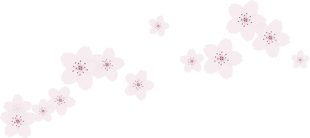 Schöne rosa kirschblüte-kirschblütenillustration