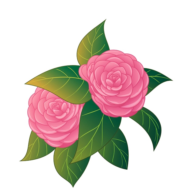 Vektor schöne rosafarbene kamelienblumen-vektorillustration