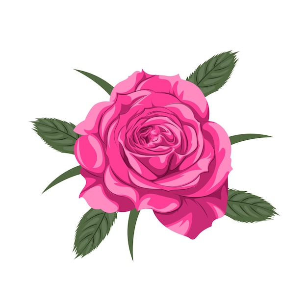 Schöne rote Rosenvektorillustration