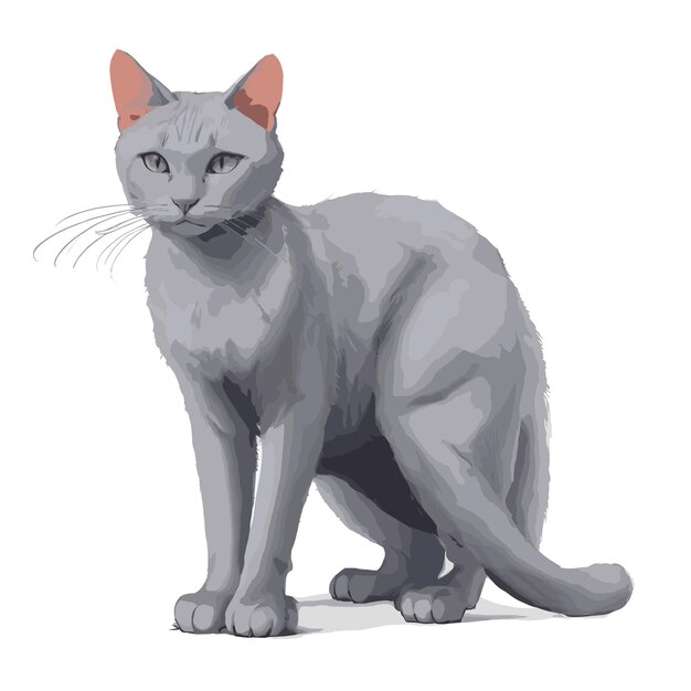 Vektor schöne russische blaue katze vektor-illustration grafikdesign