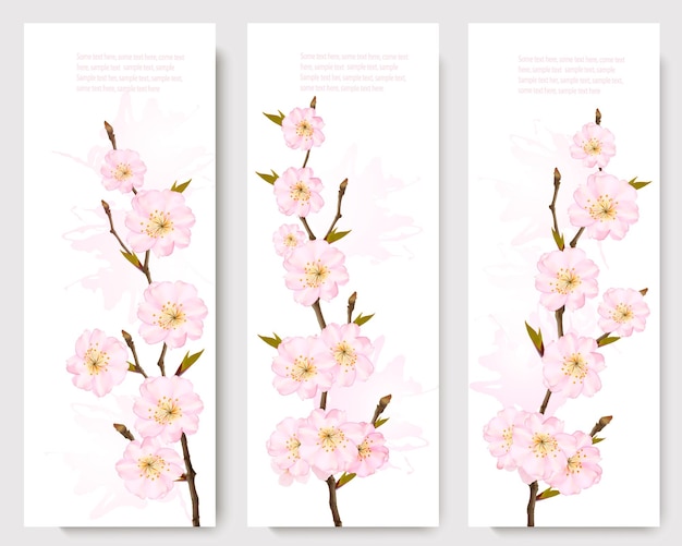 Schöne sakura-zweigbanner.