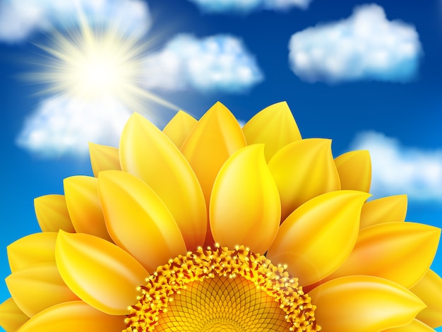 Schöne sonnenblume gegen blauen himmel mit wolken.