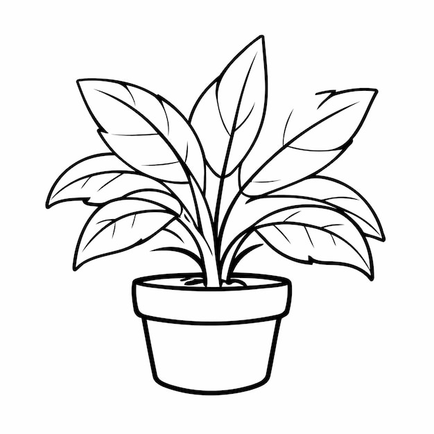 Vektor schöne vektorillustration für kinder zur malung von innenpflanzen