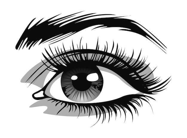 Schöne weibliche Augen mit großen Wimpern und Augenbrauen. Vektorillustration