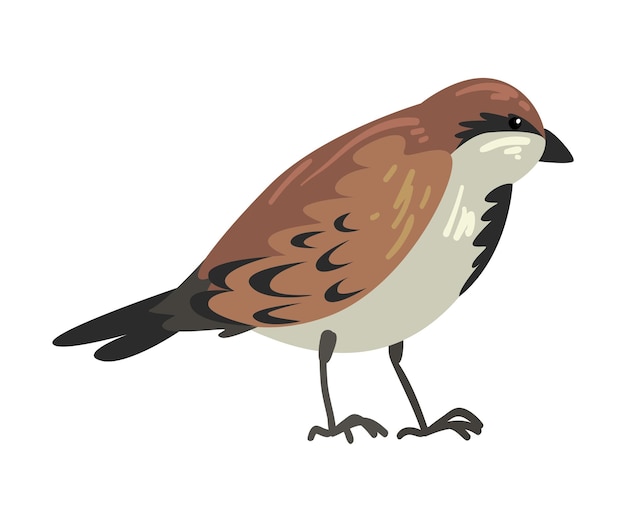 Vektor schöne wintervogel schöne nördliche vogel seitenansicht vektor-illustration