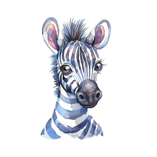 schöne Zebra-Vektor-Illustration im Aquarell-Stil