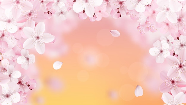 Schöner Druck mit blühenden hellrosa Sakura-Blumen und Platz für Text. Kirsche auf dem Hintergrund des Sonnenuntergangs. Realistische Vektordarstellung.
