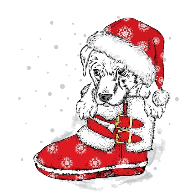 Schöner Hund in einer Weihnachtsmütze.
