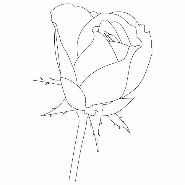 Schönes einfaches Rosen-Blumen-Malbuch für Kinder im Vorschulalter. Niedliche pädagogische Rosen-Blumen