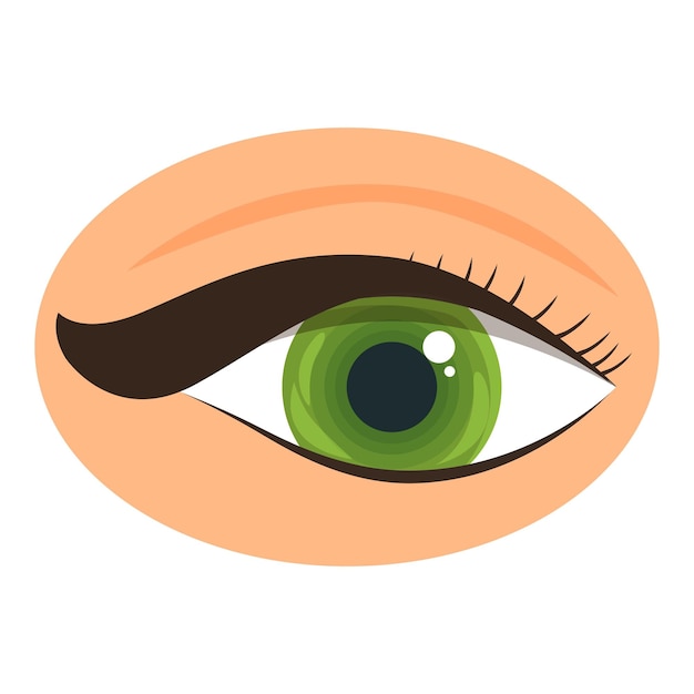 Schönes grünes weibliches Auge mit langen schwarzen Wimpern und perfektem Make-up, das nach oben schaut