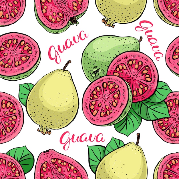 Schönes nahtloses muster der köstlichen reifen guave. handgezeichnete illustration