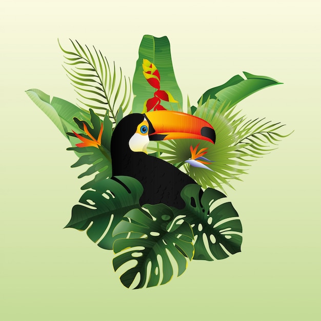 Vektor schönes toucan mit dekorativem blumen