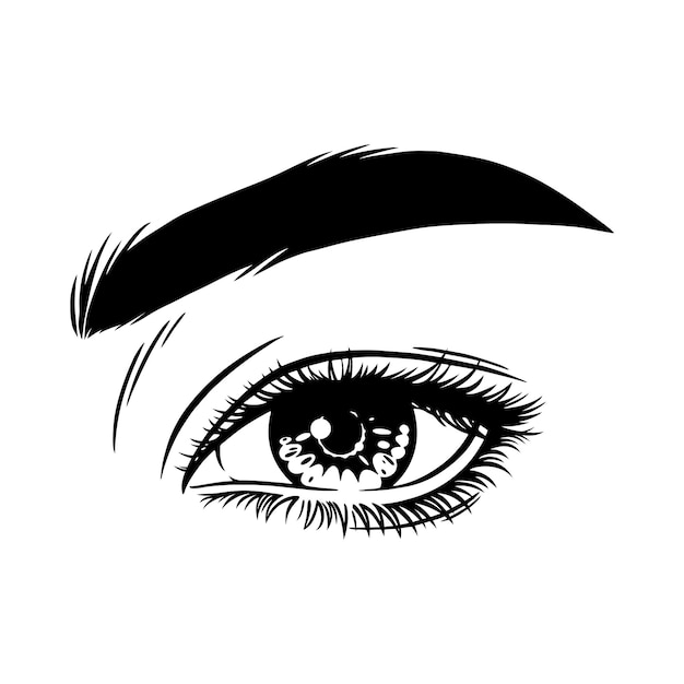 Schönes weibliches Auge mit Augenbrauen und langen Wimpern Sexy Look Modeillustration