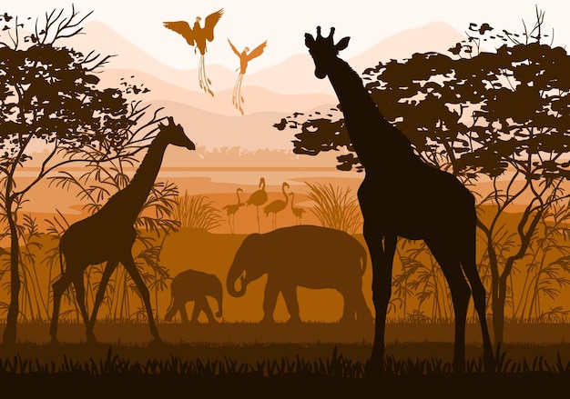 Schönheit der Natur mit wilden Tieren Giraffe Elefant Flamingo paradiesischer Vogel