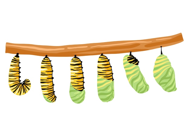 Vektor schritt-für-schritt-illustration für pädagogische zwecke