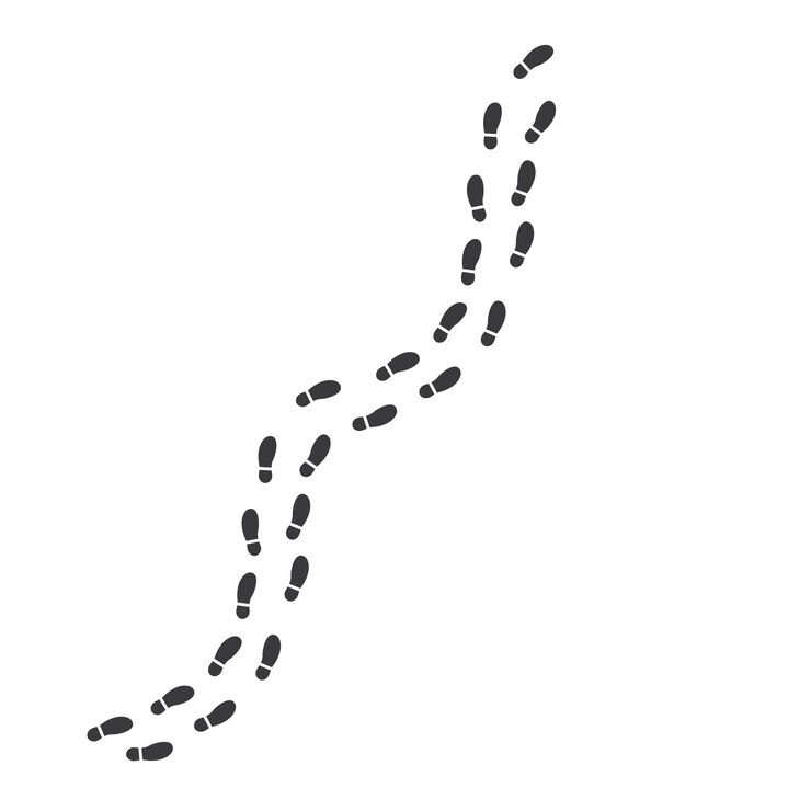 Vektor schritte drucken route vector illustration design