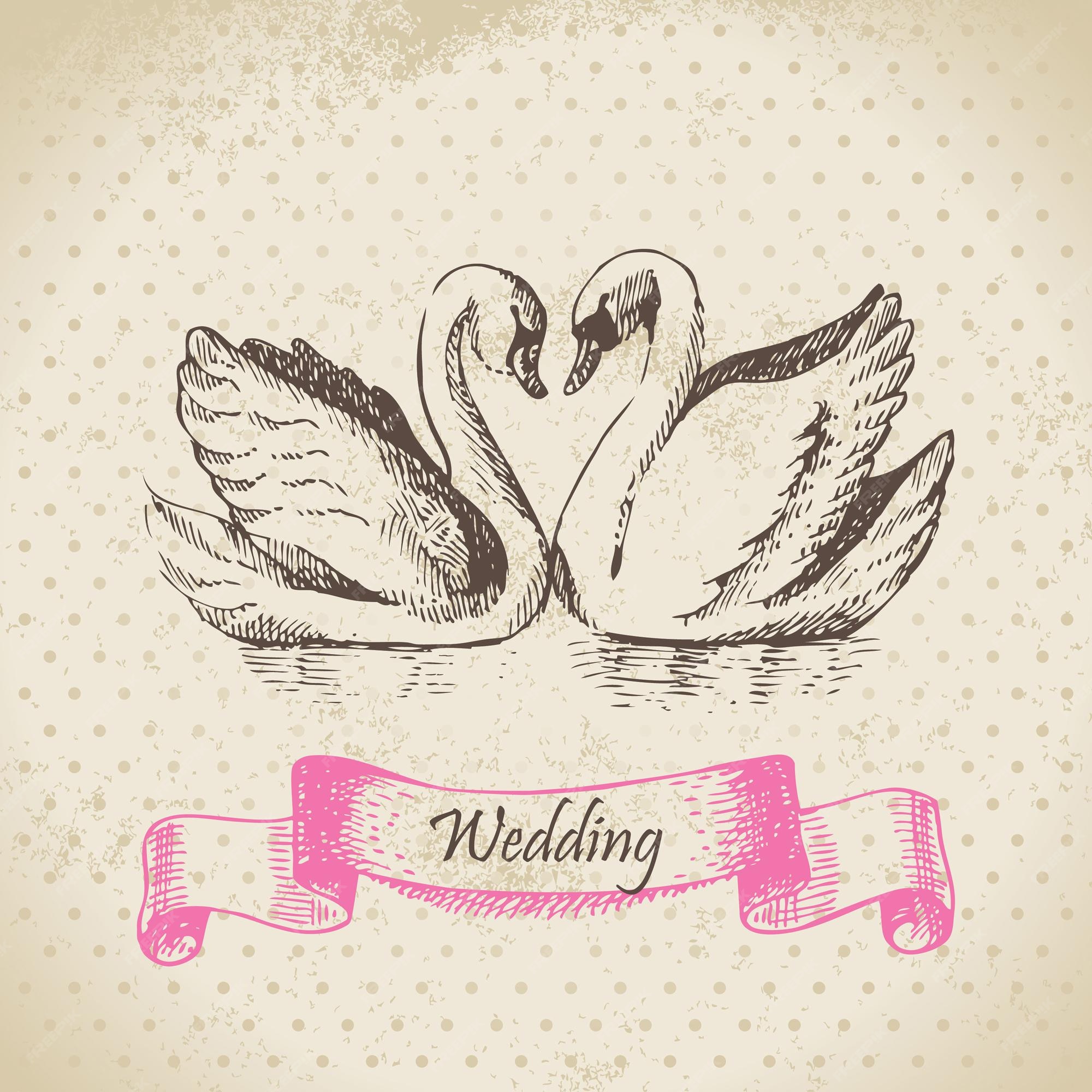 Schwäne. hochzeit illustration PremiumVektor