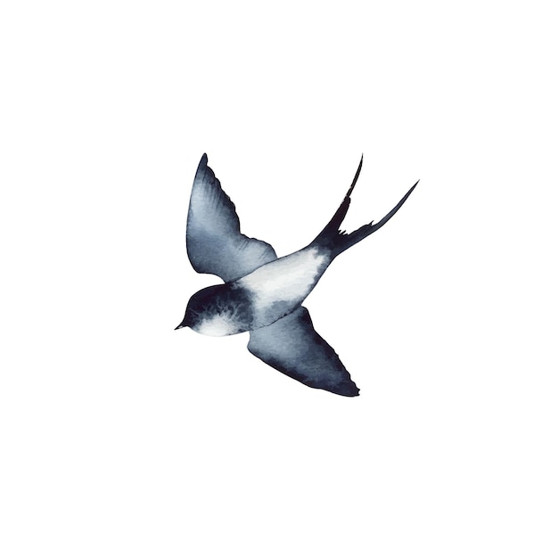 Schwalbenmarmelade Klarer weißer Himmel Vogel im natürlichen Lebensraum Barn Schwalben fliegende Flügel breiten Hirun