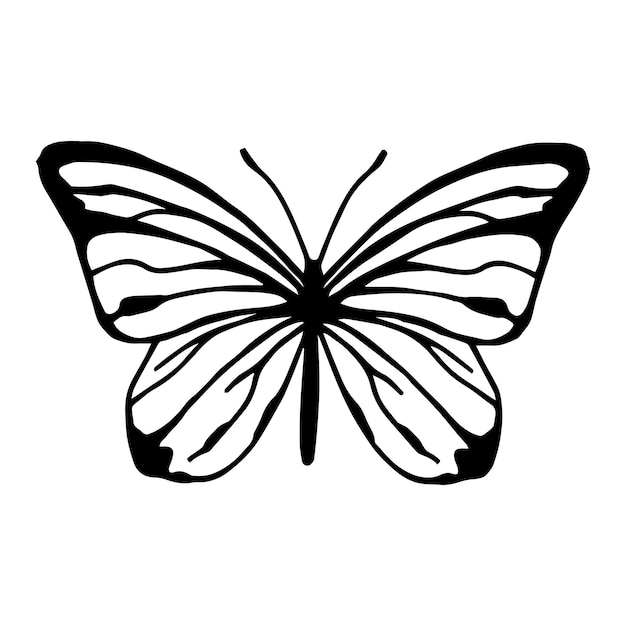 Schwarz-weiß-illustration schmetterling pieris brassicae silhouette einer schmetterlingsgrafik