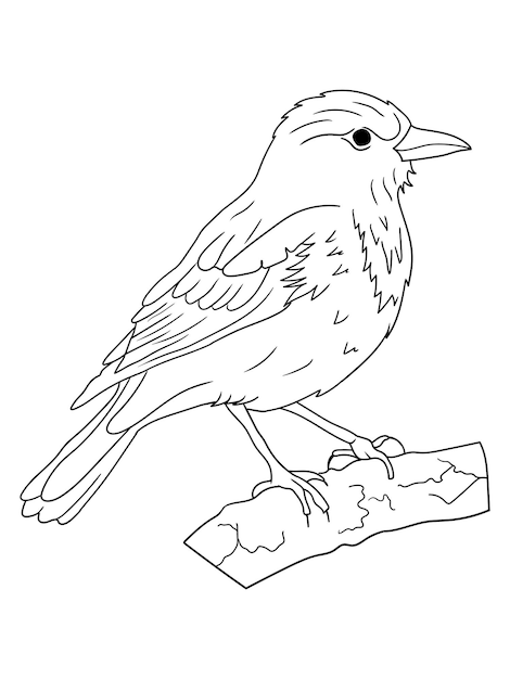 Schwarz-Weiß-Vogel-Illustration perfekt für Malbücher