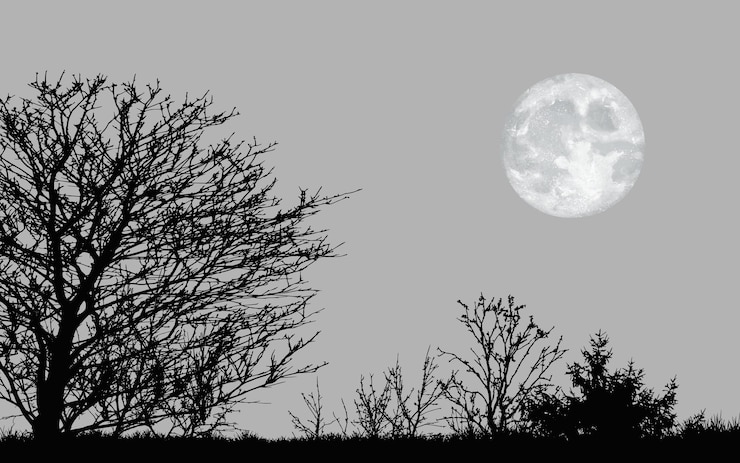 Vektor schwarz-weiße silhouette landschaft schöne naturszene mondhimmel nacht ländliche horizontale sichtvektor