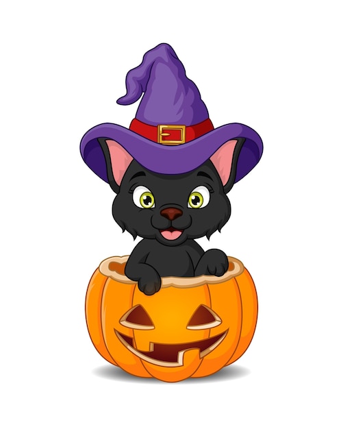 Schwarze Katze der Karikatur in einem Hexenhut im Inneren im Halloween-Kürbis