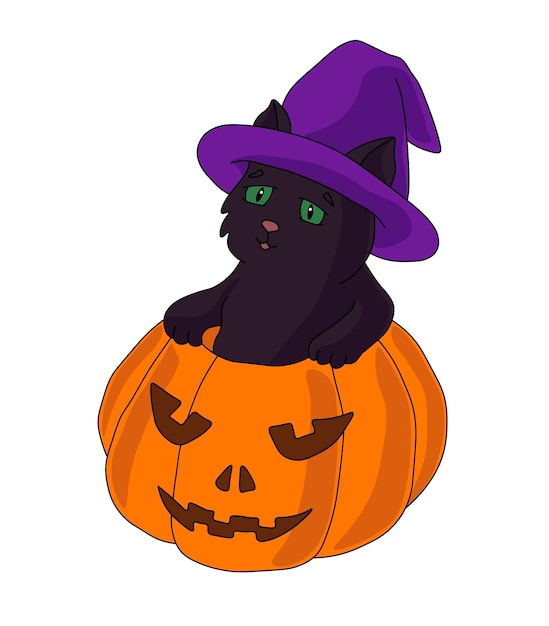 Schwarze Katze in einem lila Hexenhut kriecht aus einem Halloween-Kürbis heraus
