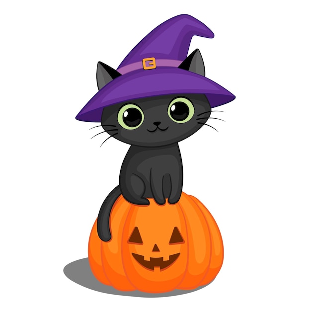 Schwarze Katze mit Hexenhut auf einem Halloween-Kürbis