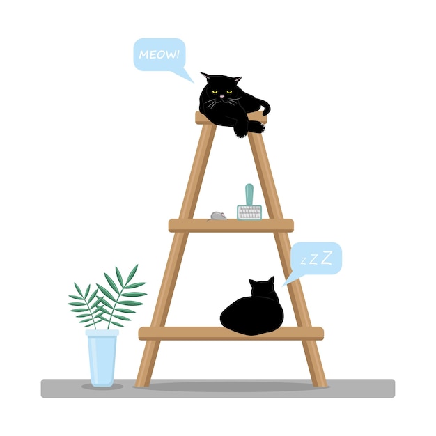 Schwarze Katzen schlafen auf einem Gestell