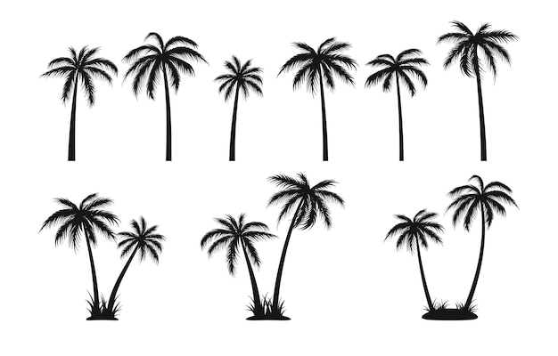 Schwarze palmensilhouetten setzen vektor eps 10